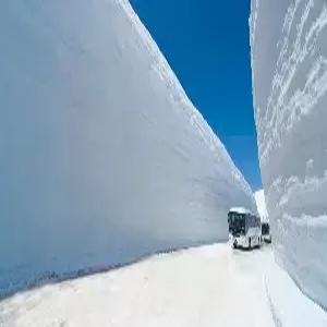 [선착순특가][도야마 전세기] 알펜루트 4일 #도야마직항 #전일정온천호텔 #롯데아라이리조트숙박 #설벽 #시라카와고 #토롯코열차 #겐로쿠엔 #도야마환수공원