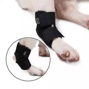 반려견  보호 무릎 슬개골 탈구 예방 보조기 착용형 다리 보호 용품 사이즈
