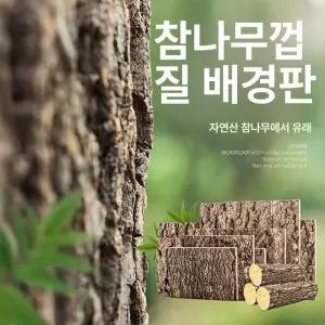 테라리움 백스크린 장식 도마뱀 배경판 사육장 배경 경량