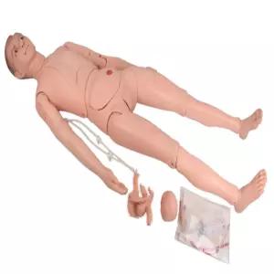 [로지프로] 간호사 실습용 남자마네킹 170CM 간호사실습모형 인체장기모형 인체피규어