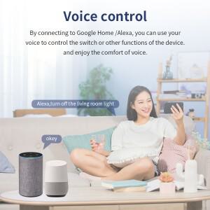 10A/16A/20A WiFi 스마트 스위치 자동화 모듈 무선 릴레이 차단기 홈 음성 제어는 Alexa Google 홈호환