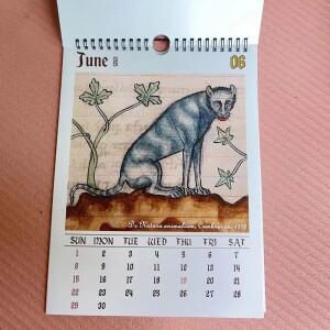 중세 고양이 달력 2026 -  벽걸이 12개월 못생긴 1월부터 12월까지