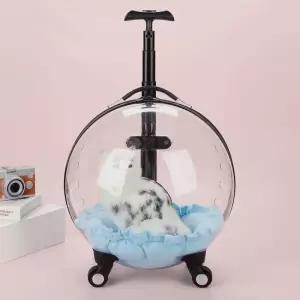 고양이 투명 캐리어 캡슐 외출 케이스 가방 이동장 애완 여행 이동 동물