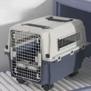 소형 중형 대형 덴탈 얇은 디자인 1회용 마스크 강아지 예쁜