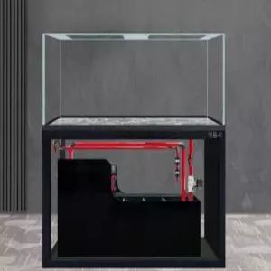 아로와나 어항 잉어 란쇼