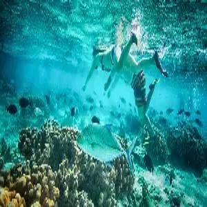 [깜짝특가][성인2+아동2 가족전용] 사이판 4일 #월드리조트 #최대워터파크 #디럭스룸UP #골드카드 #자유여행