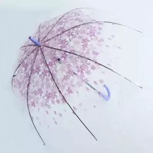 장우산 퍼플 튼튼 벚꽃 투명 2개 가벼운한 예쁜