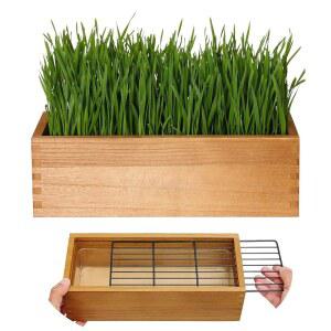 화분용 흙 디스크 소화 반려동물용 라이너 재배 노란색 탈착식 벤핀 키트 화분 플라스틱 씨앗 실내 나무 포트 그리드 고양이 잔디