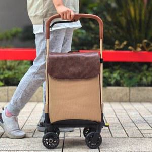 성인 보행기 할머니 보조 보행 실버 견인 성인용보행기