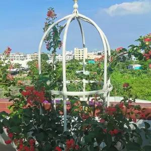 장미 아치 지지대 펜스 넝쿨지지대 넝쿨식물