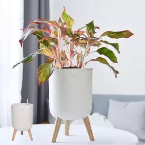 인테리어 화분 실내 탁상 거실 베란다 다육분 모던 심플한 40 대 30 깔끔한