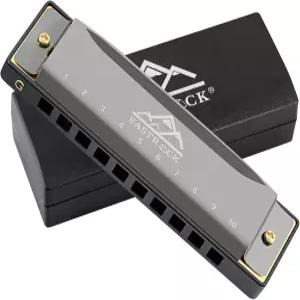 이스트록 블루스 하모니카 마우스 오르간 10홀 G 키 케이스 포함 프로 선수용 디아토닉 초보자 학생 선물