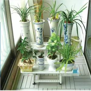 조립식 다용도 화분 선반 물받이 정리대 2단 화초 다육이 베란다 정리 받침 텃밭 물 식물 진열