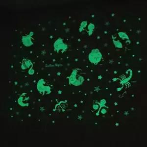 조인컴퍼니 야광 벽꾸미기 스티커 밤하늘 2종택1 데코 창문스티커 인테리어소품 야광스티커