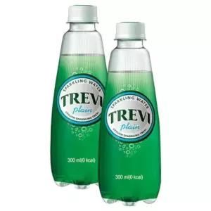 롯데 트레비 플레인 300ml 20탄산수 탄산 자몽