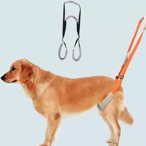 강아지 보행 행보조 노령견 재활 하체 강아지 뒷다리 보조 후지 강아지산책 하네스 보조띠 관절 워킹 보호