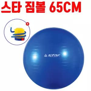 파랑 짐볼 요가 스트레칭 스타 복부 발펌프 마시지볼 기 65cm [f3D367D]