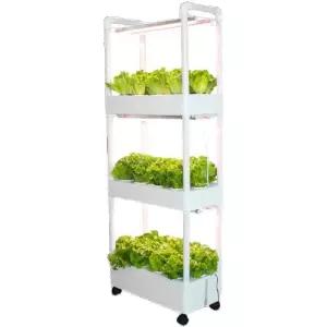 식물재배기 채소 스마트팜 수경 가정용 상추 야채 재배기 실내 키우기 재배 3단