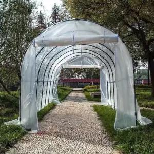 작물 고정 집게 덩굴 활대 지주대 식물 고추 오이 장미