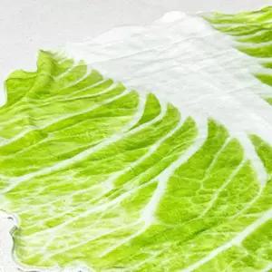 블랭킷 특이한선물 쇼파 음식담요 배춧잎담요 중형