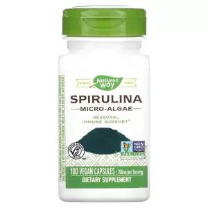 네이처스웨이 스피룰리나 Spirulina 마이크로-Algae 380mg 100정 비건