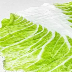 [골드스마일]블랭킷 특이한선물 쇼파 음식담요 배춧잎담요 중형