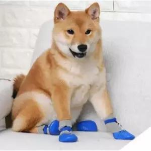 강아지 신발 슬립 방수 애견 양말 4개세트 애묘 할로윈 애견