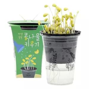 마리빙 키트 농사 콩나물키우기세트 식물 2P 자연관찰 한컵 채소