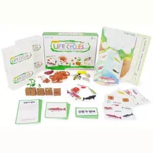 강낭콩 문어 벌 연어 성장단계 아동 교구 세트 중등과학교재 도구