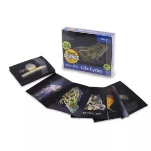 동물 식물 한살이 움직이는 카드 유치원 교재 성장표본 도구 생물표본