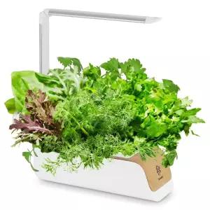 온풍기 가정용 LED 채소 재배기 CYPP310