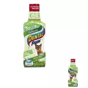 빙투 물에 덴탈 섞어주는 치약 후레쉬 고양이 237ml