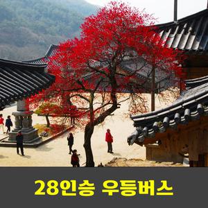 화엄사 화엄매 구례 산수유 축제 안내산악회