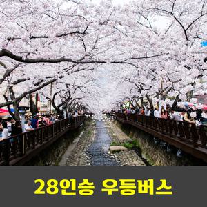 진해군항제 벚꽃축제 장복산 안내산악회