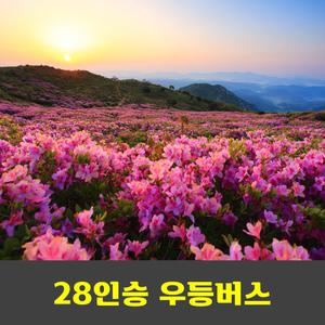 황매산 일출과 철쭉제 안내산악회