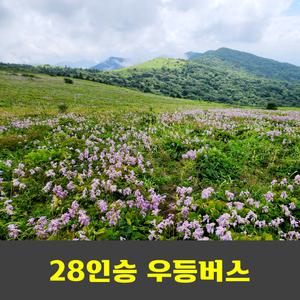 소백산 야생화 철쭉제 비로봉 당일 100대명산 안내산악회