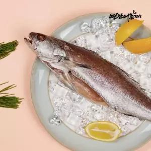 [연안어촌계](강남점)제주에서 온 손질참민어 2미(미당 400g)/냉동