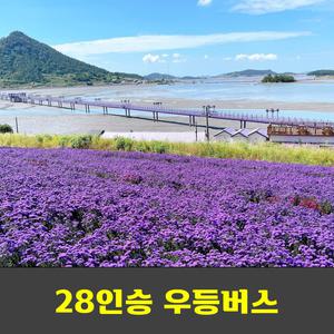 퍼플섬 라벤더축제 반월도.박지도 안내산악회