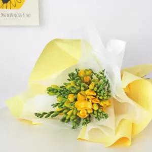 마이플랜트 생화 옐로우 프리지아 꽃다발 꽃선물 화병 꽃 포장 경매 꽃배달 정기구독