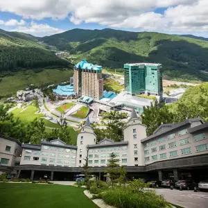 [예약대기]강원 하이원 메인타워/컨벤션타워/팰리스호텔 룸온리