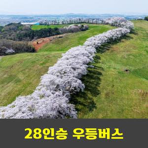 서산 가야산 서산한우목장 웰빙산책로 문수사 왕벚꽃 개심사 청벚꽃