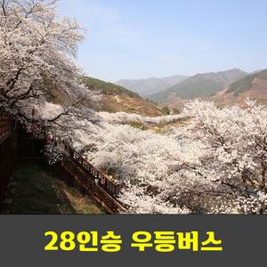 쌍계사 십리벚꽃길&화개장터 안내산악회