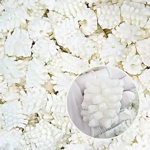 프리미엄 냉동 손질 칼집 솔방울 오징어 대왕 오징어 대용량 업소용 벌크 10kg