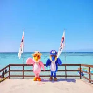 괌 5/6일 #성인2인+소인2인 패밀리팩 #PIC리조트 #워터파크#골드패스