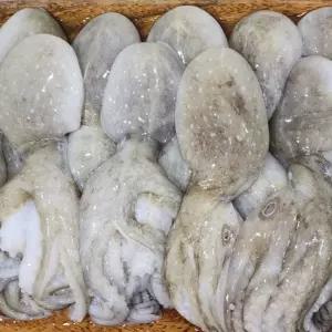 선동 대왕 주꾸미 1kg 2kg 왕쭈꾸미 냉동 중국산 급냉