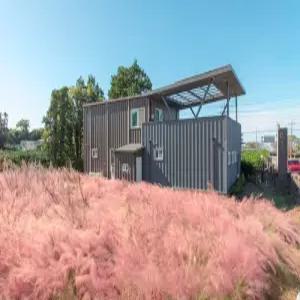 [제주] 제주 랄랄라더예쁜명월 펜션(가족,단체,워크샵)(제주, 제주)