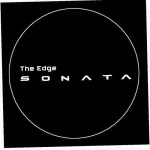 D21 소나타디엣지호환 LED도어라이트 매립형