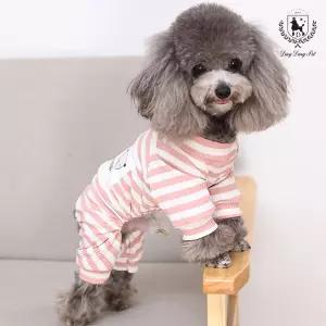딩동펫 애견 올인원 옷 외출 실내복 패션 테디 줄무늬