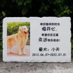 반려견 비석 강아지 추모 펫 장례 메모리얼 사진 묘지 스톤 추억