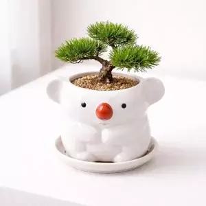 모던 도기 애니멀 캐릭터 화분 S 6x6cm 코알라 화이트